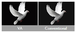 3,000:1 Native Contrast Ratio for Color Depth and Definition